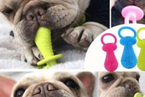 Durable silicone dog toys in bone and paw shapes with embossed brand logo